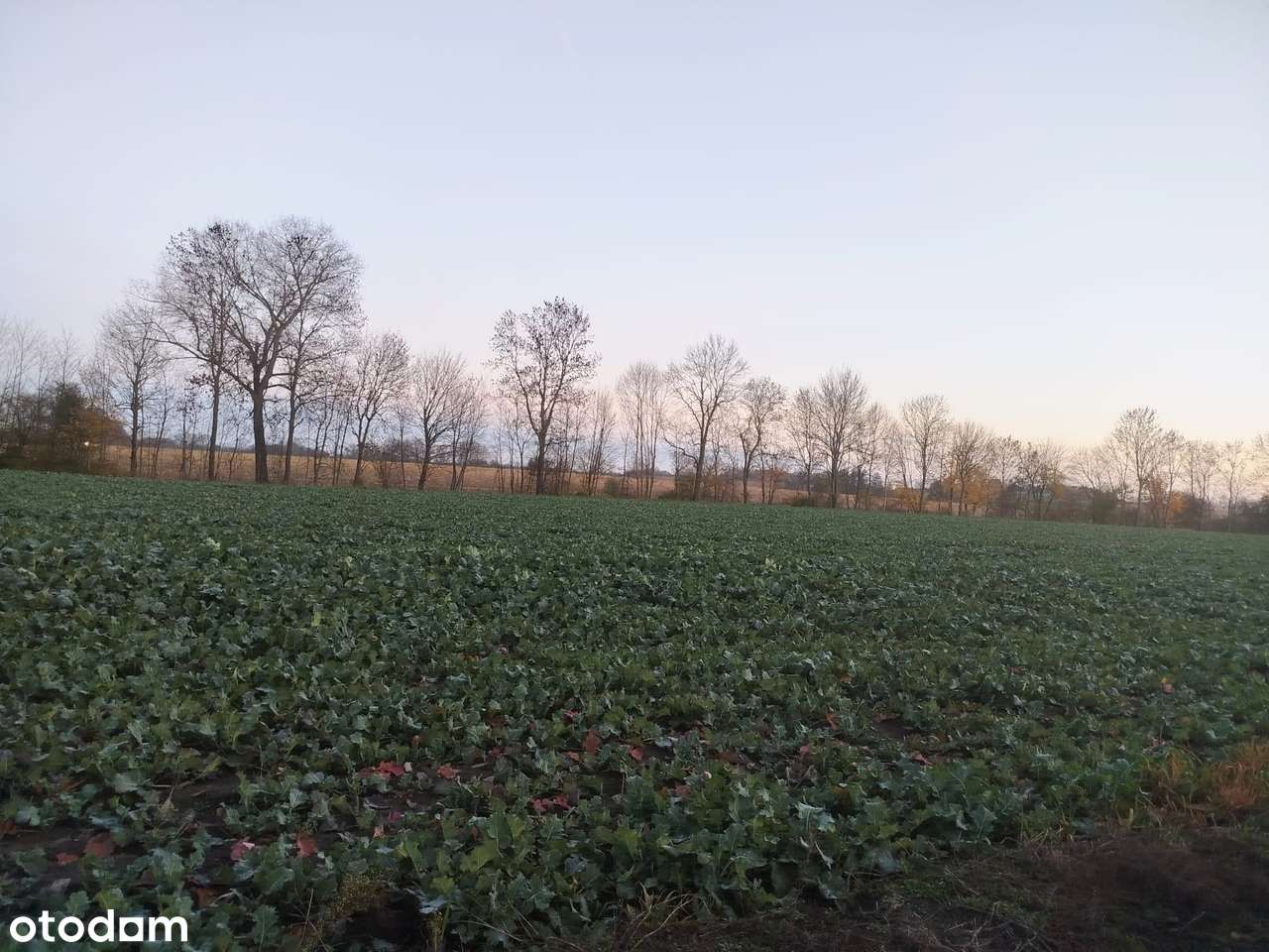 Działki budowlane/Bystrzyca/Warunki Zabudowy-3