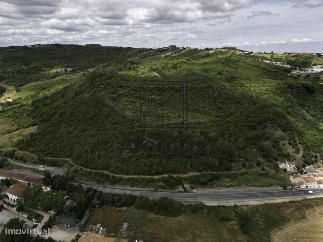 TERRENO MISTO COM 48Ha EM ALENQUER!-8