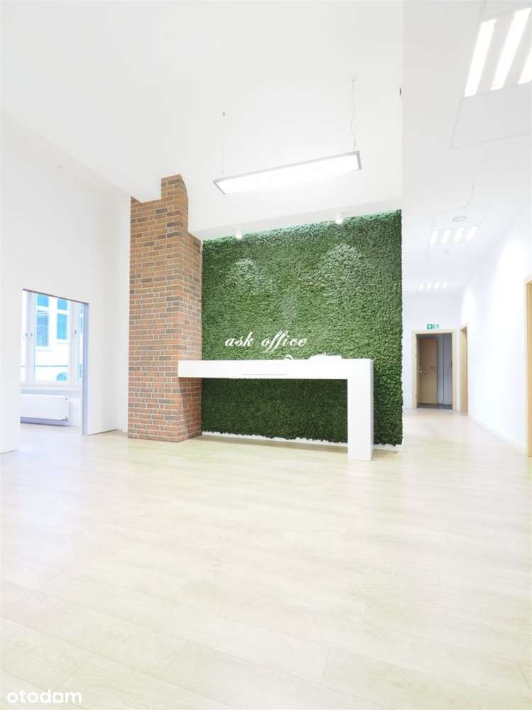 Lokal użytkowy, 270 m², Wrocław - Pełny obrazek: 5/20