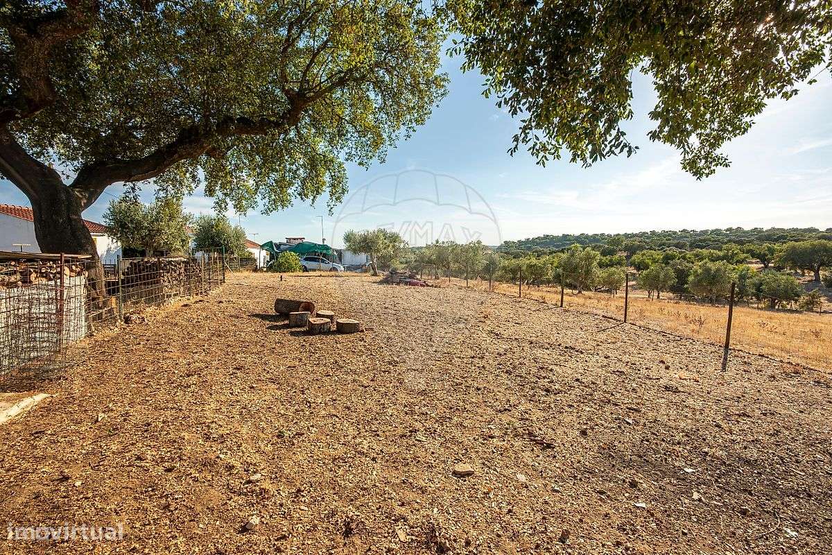 Terreno  para venda-23