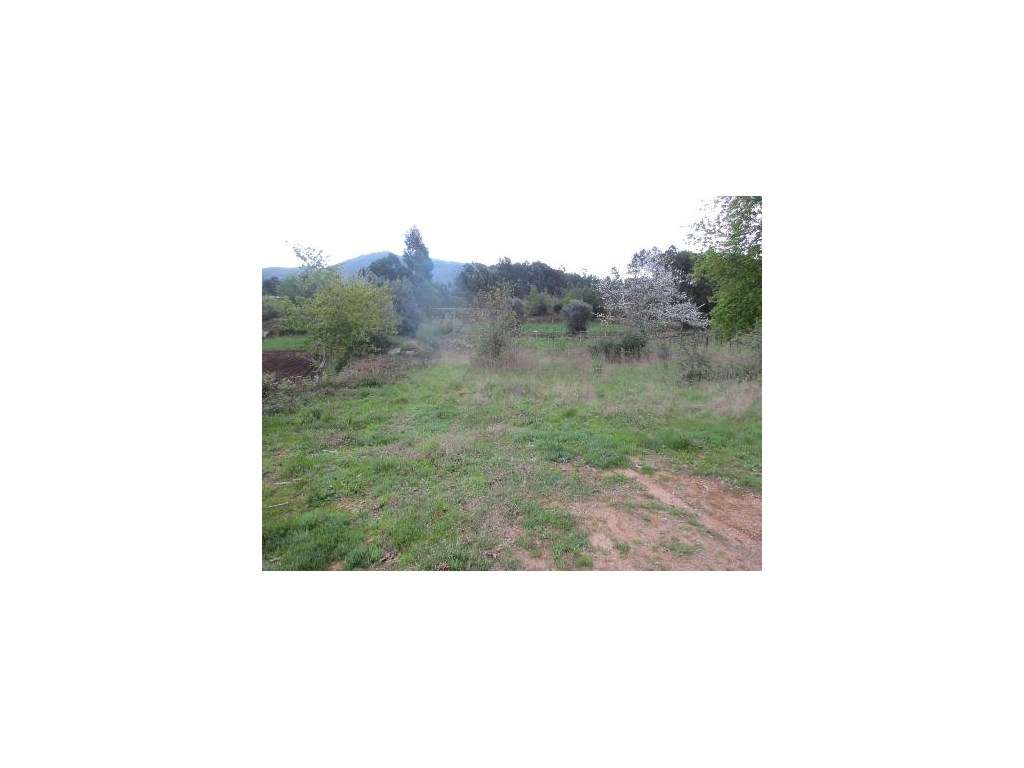 Terreno com 3.000m2 - Grande imagem: 2/3