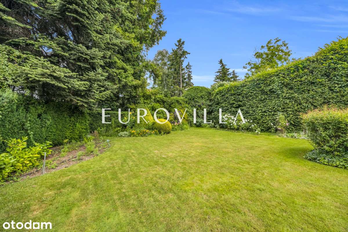 Sadyba Urocza działka - Pełny obrazek: 4/9