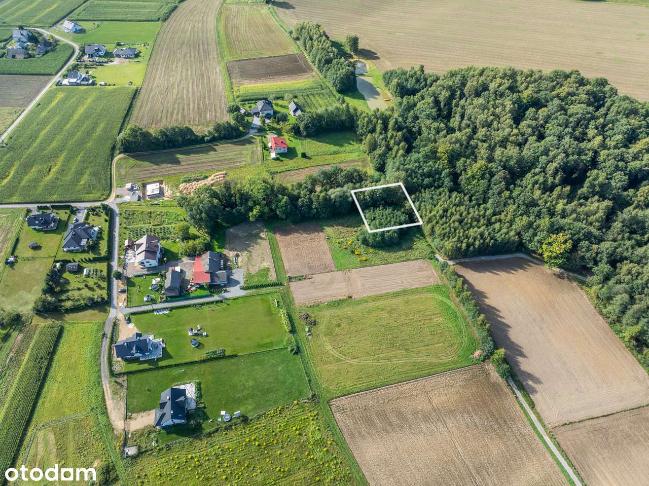 Działka budowlana z prywatnym lasem | Nidek-6