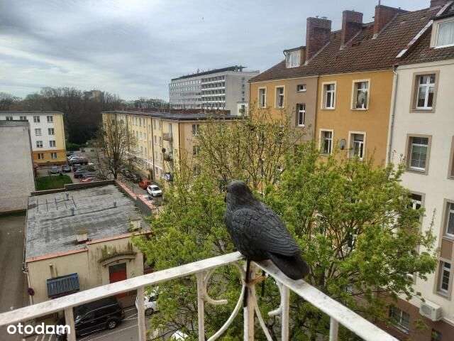 Kołobrzeg wyjątkowa okazja !-12