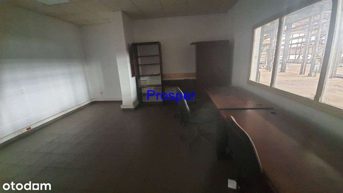 hala z suwnicami 16T plus 3x5T - Pełny obrazek: 4/8