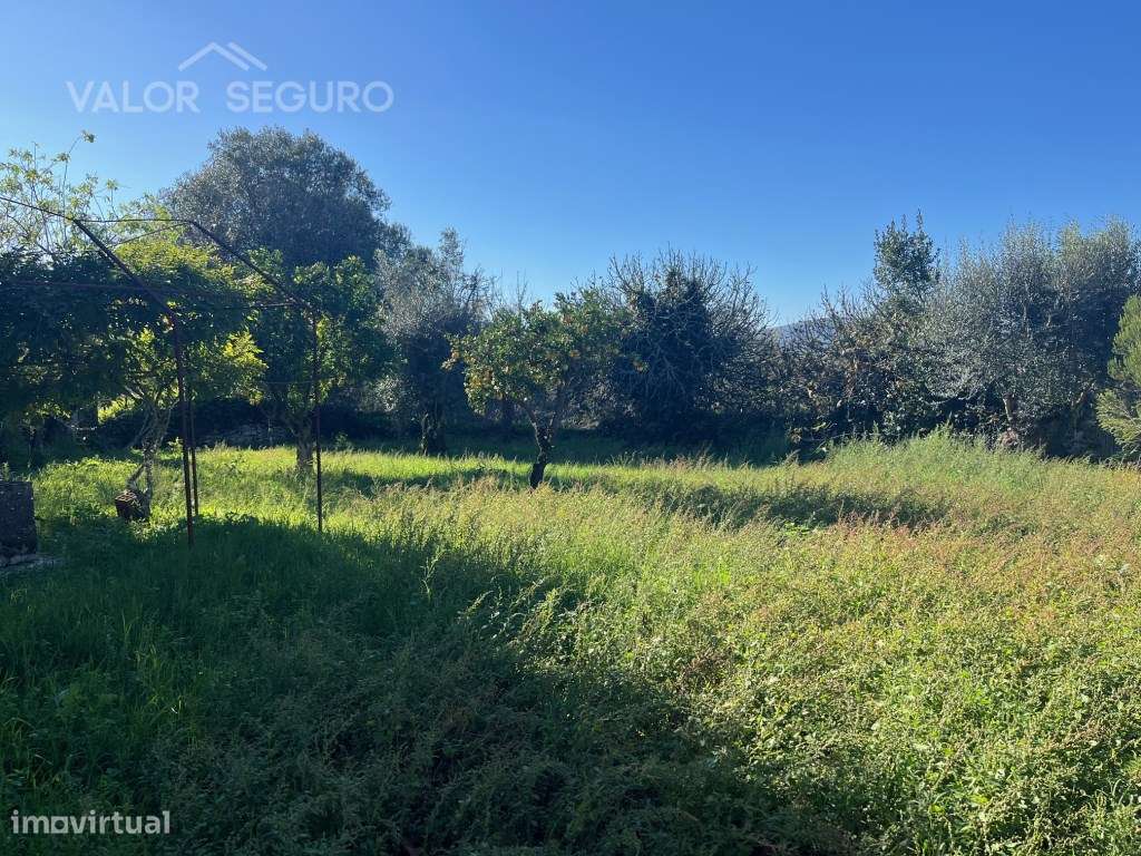 Casa rural para recuperação em Ansião-24