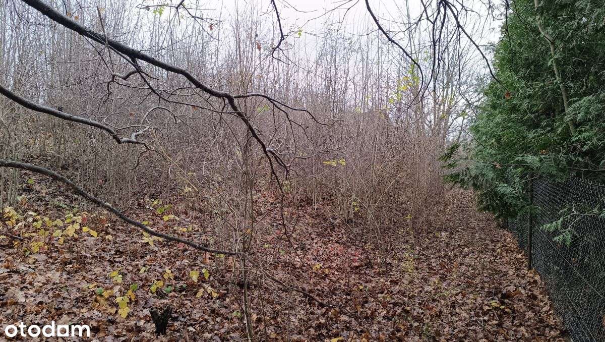 Super działka w otoczeniu domów jednorodzinnych-4