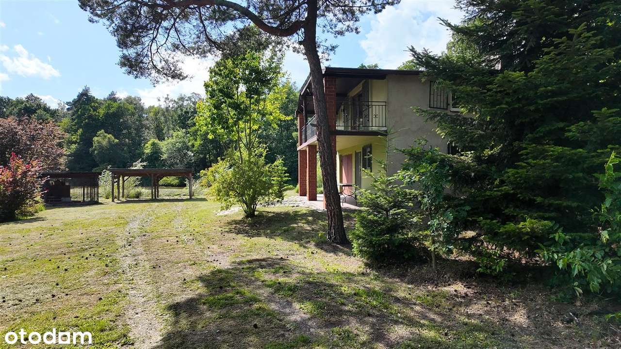 Posiadłość Przegędza - Staw, Las-5