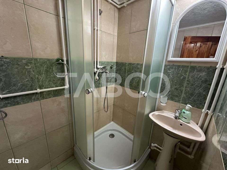 Cabana spatioasa la 5 km de Partia Sureanu complet utilata-15