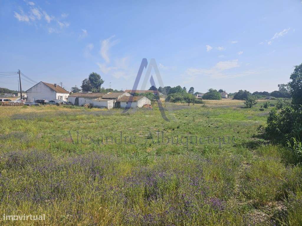 Quinta com 3 Habitações | Pinhal Novo | Terreno 5.400 m²-3