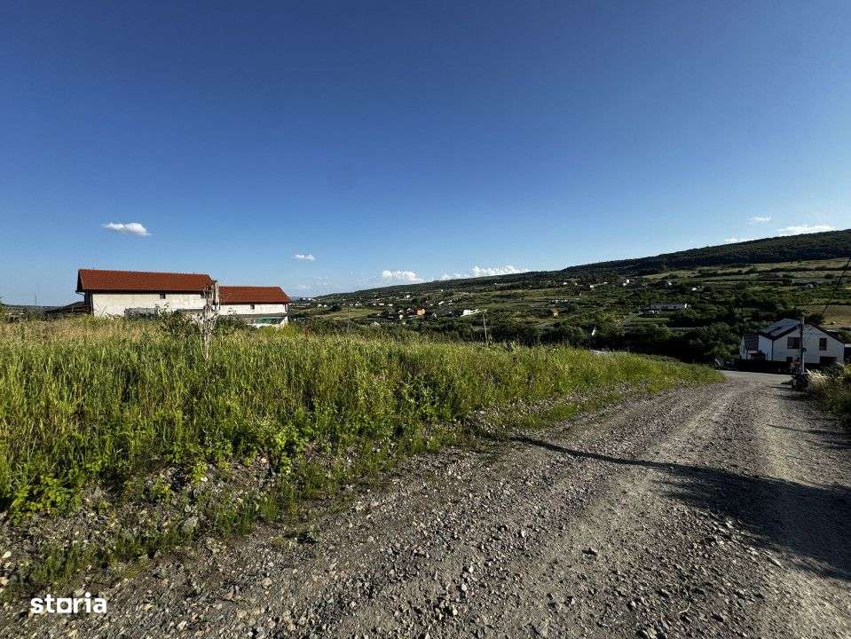 Teren in Chinteni, Muntii Oasului, 1000 mp, front de 36 ml - Imagine principală: 2/8