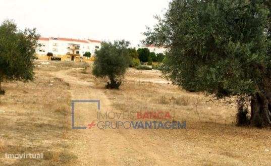 Terreno com 8,750m² e PIP aprovado, localizado em zona de expansão ... - Grande imagem: 4/13