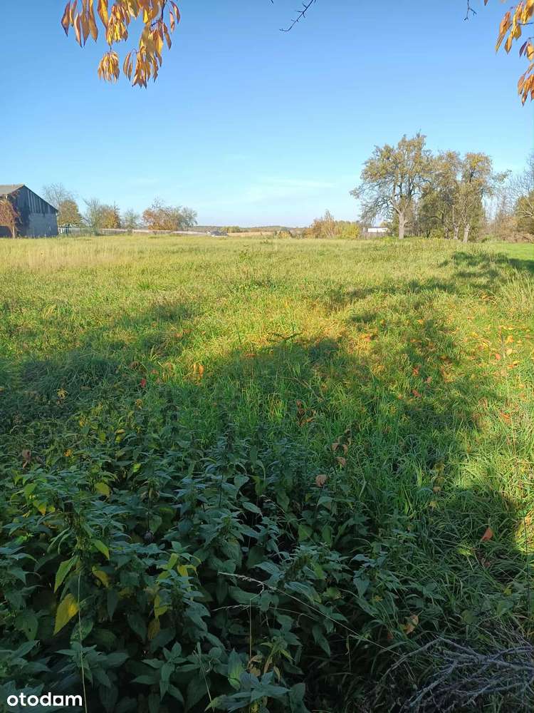 Działka budowlana z mediami 5981m² (możliwość podziału) od właściciela - Pełny obrazek: 4/7
