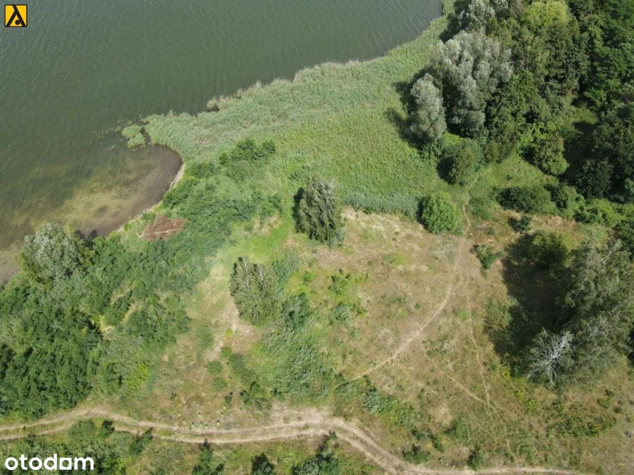 Działka 6648 m2, z linią brzegową - Mirakowo-3