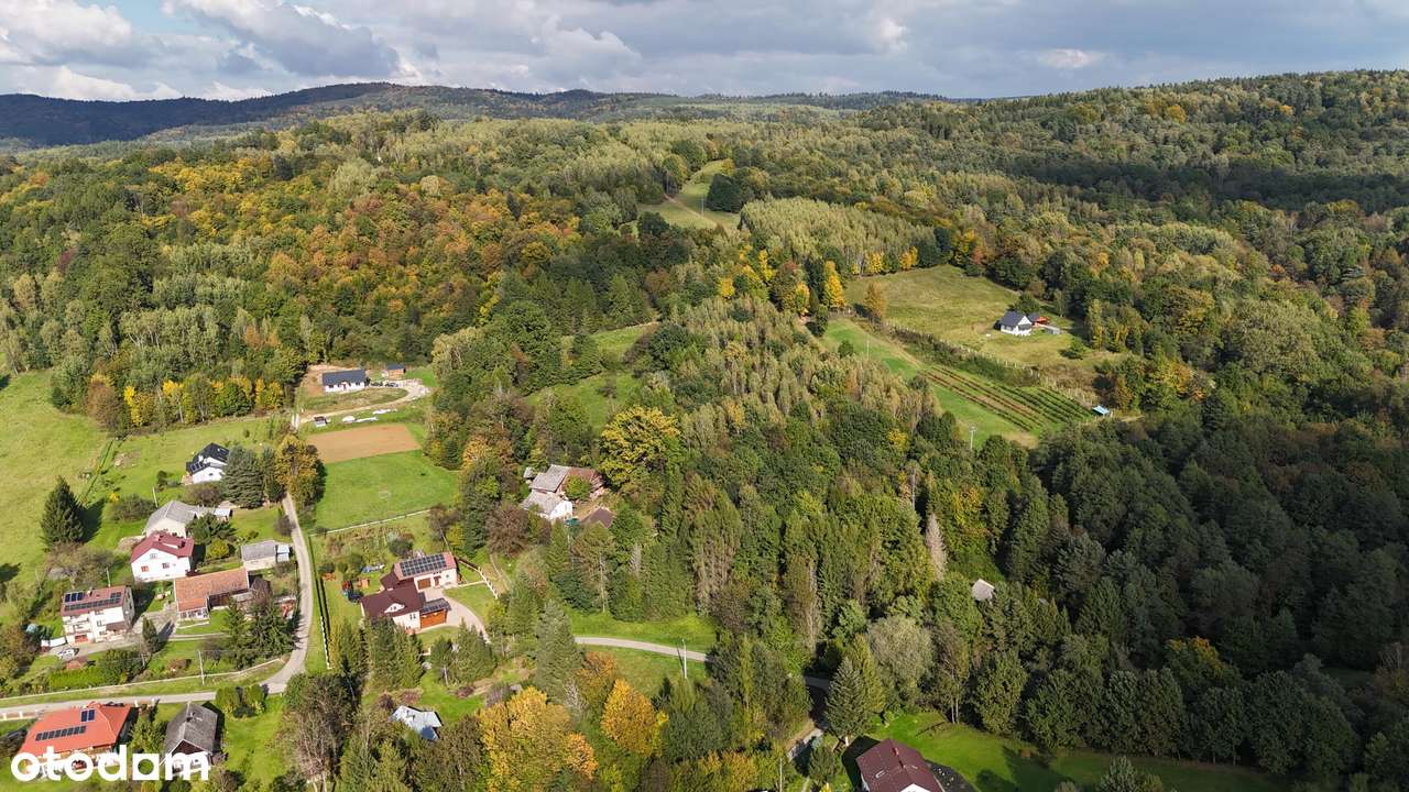 Łączki Jagiellońskie, siedlisko w malowniczym otoczeniu lasu i natury-5