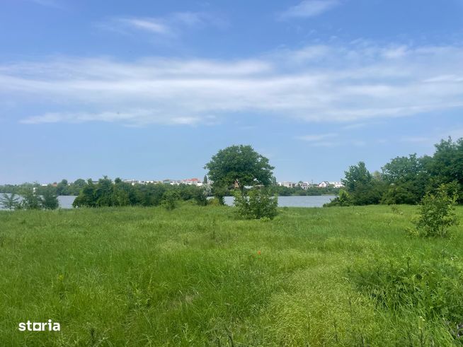 Damaroaia -Coralilor Deschidere Lac Grivita-4