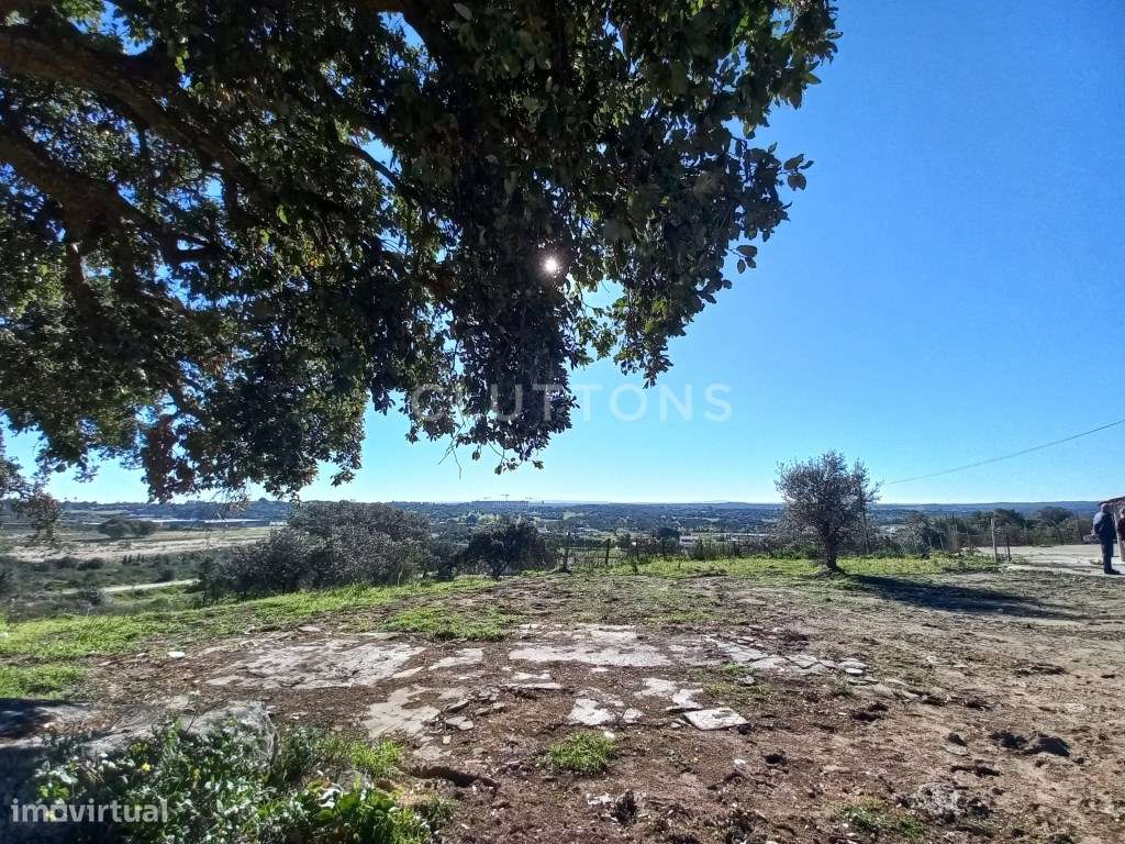 Terreno - Quinta, Investimento, 12 hectares e 844 m2 edificados, Évora-9