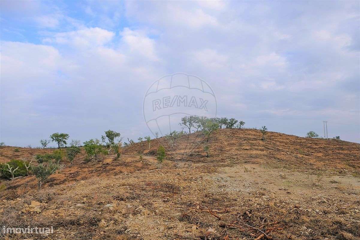 Terreno  para venda - Grande imagem: 2/10