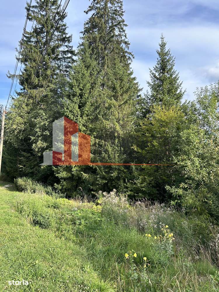 Teren generos de 8.267 mp în Predeal, Strada Nicolae Bălcescu. - Imagine principală: 5/6