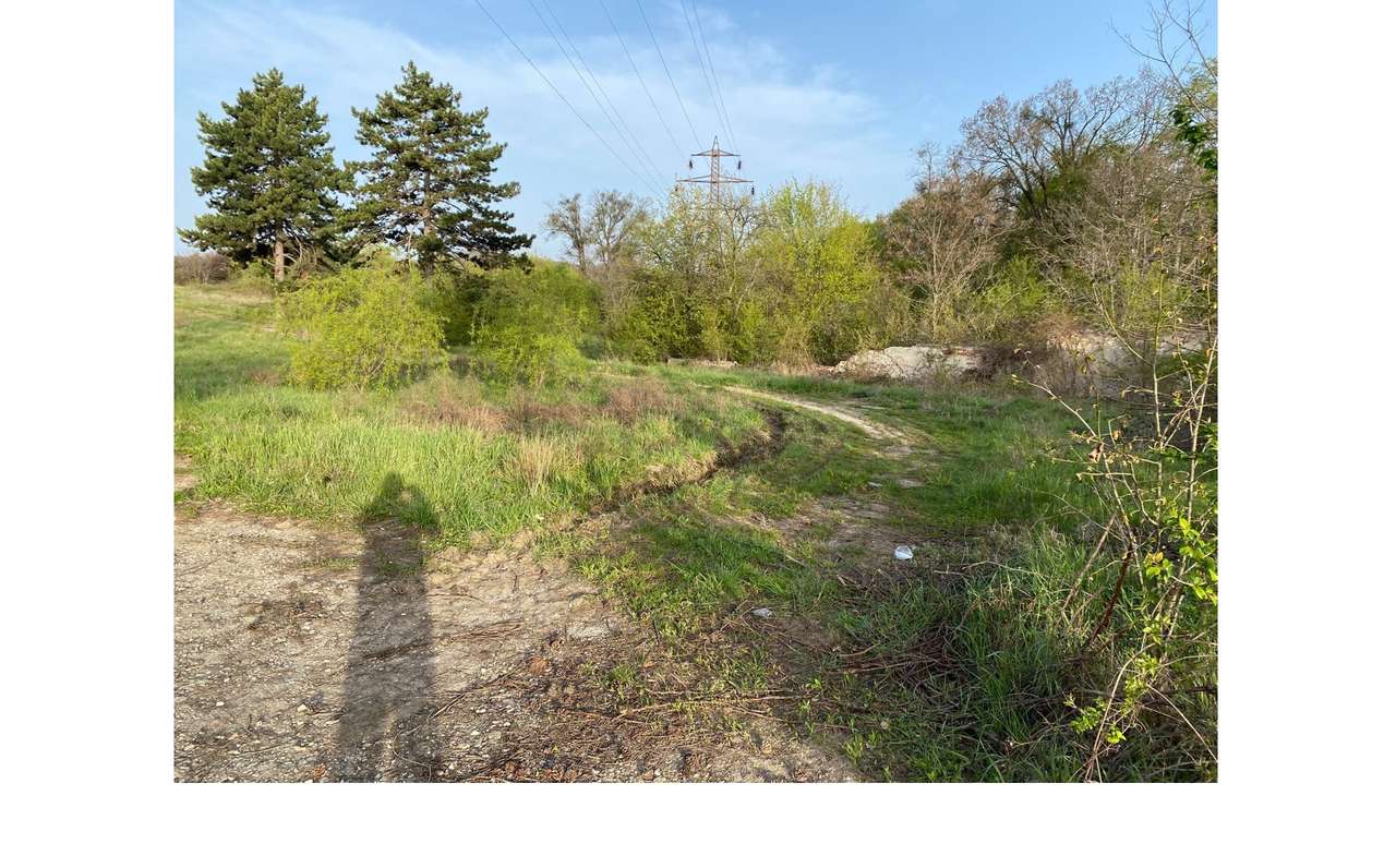 Teren 8830 mp Cantonament Moreni - Imagine principală: 2/2