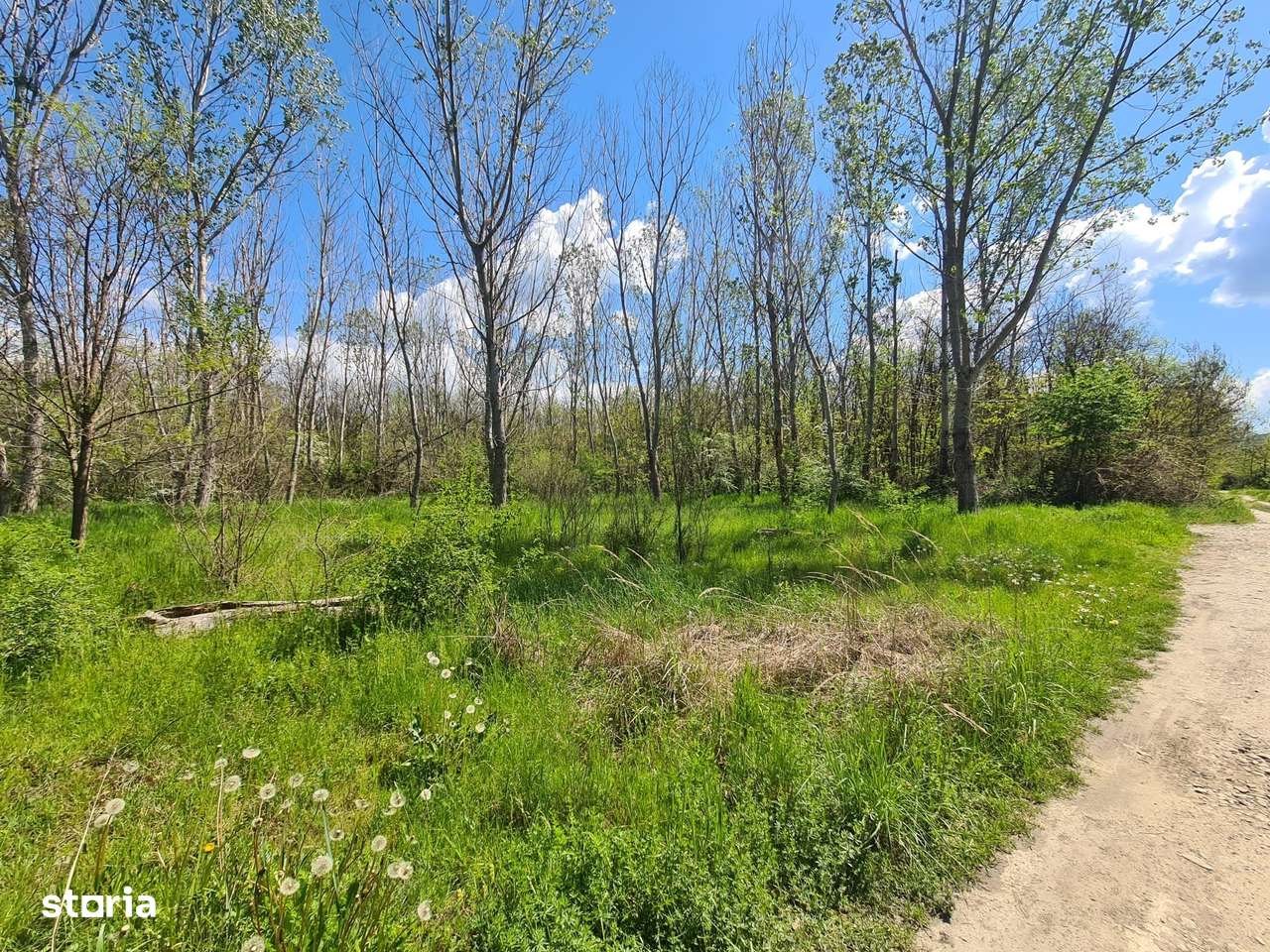 Teren de vanzare / Dem Radulescu-7