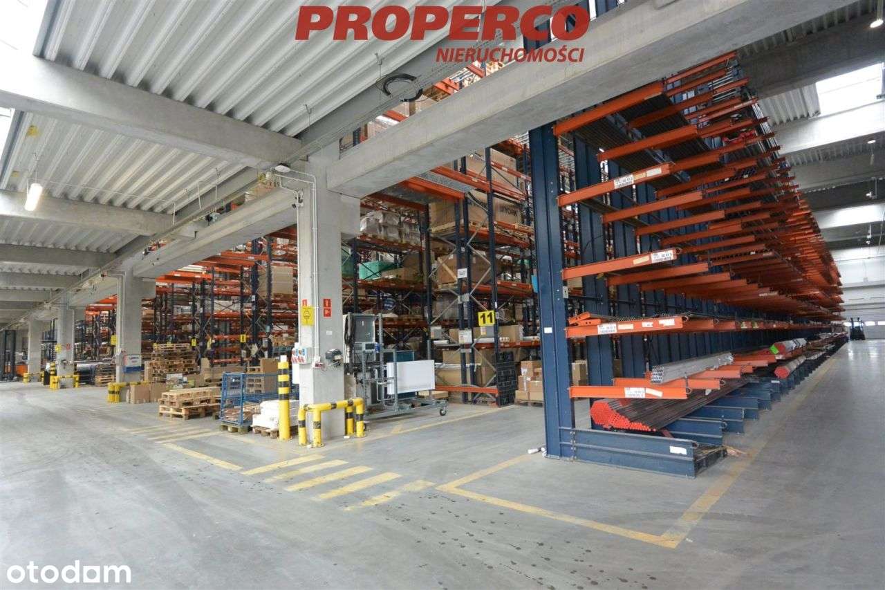 Hala wysokiego składowania, Bilcza, gm. Morawica - Pełny obrazek: 4/11