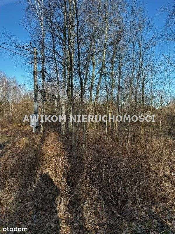 Nowa Niższa Cena - Pełny obrazek: 4/7