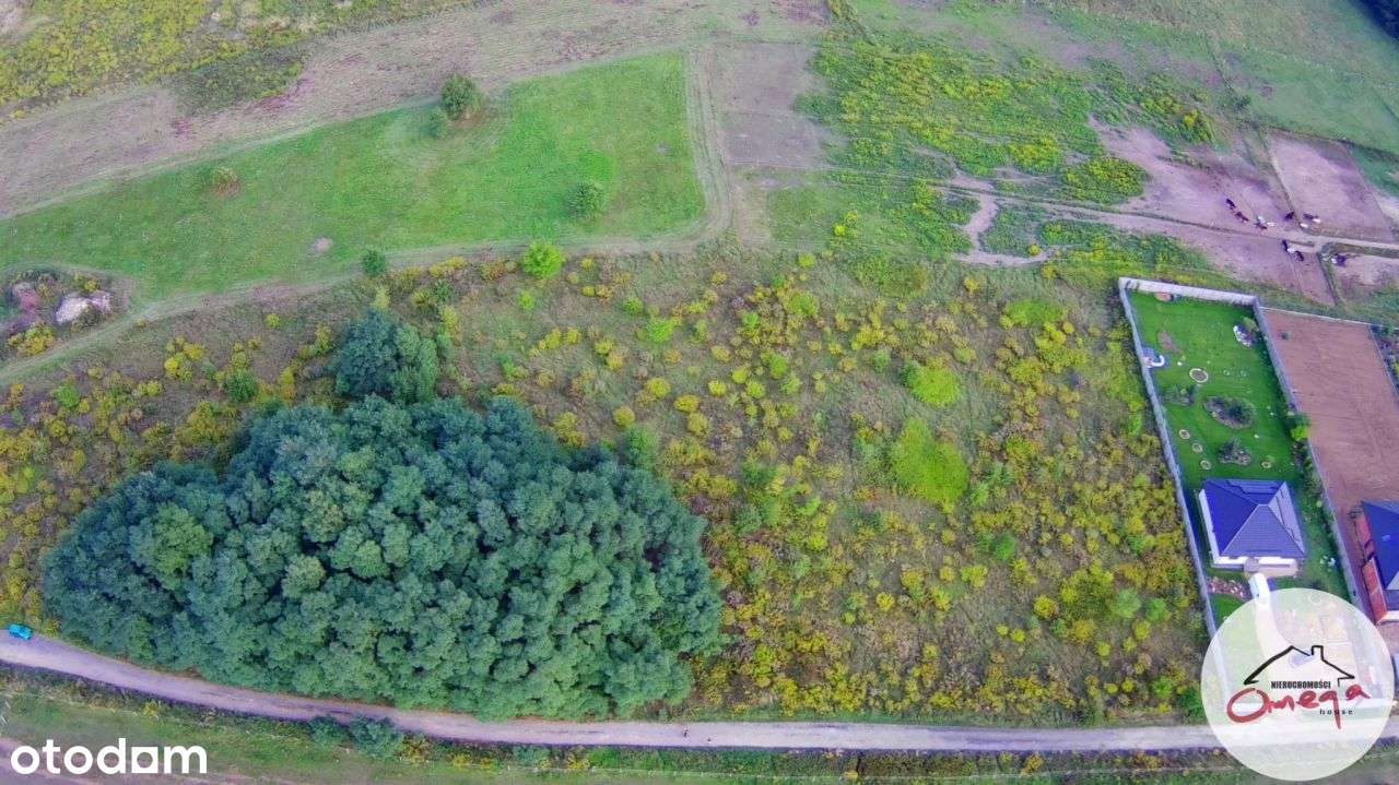Działka rolno budowlana - Pełny obrazek: 4/13