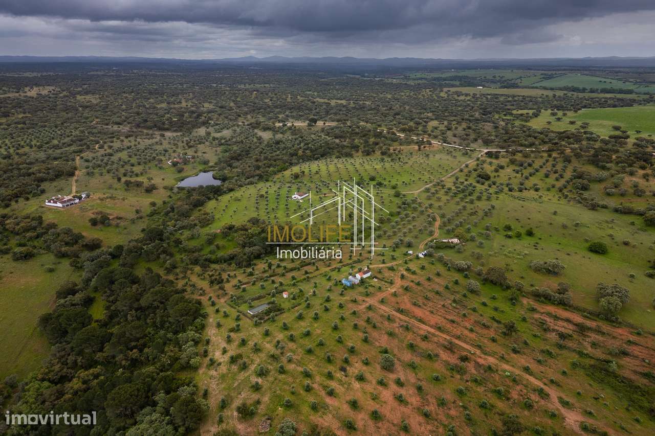 MONTINHO DO CHIADO - MALARRANHA - PAVIA-42