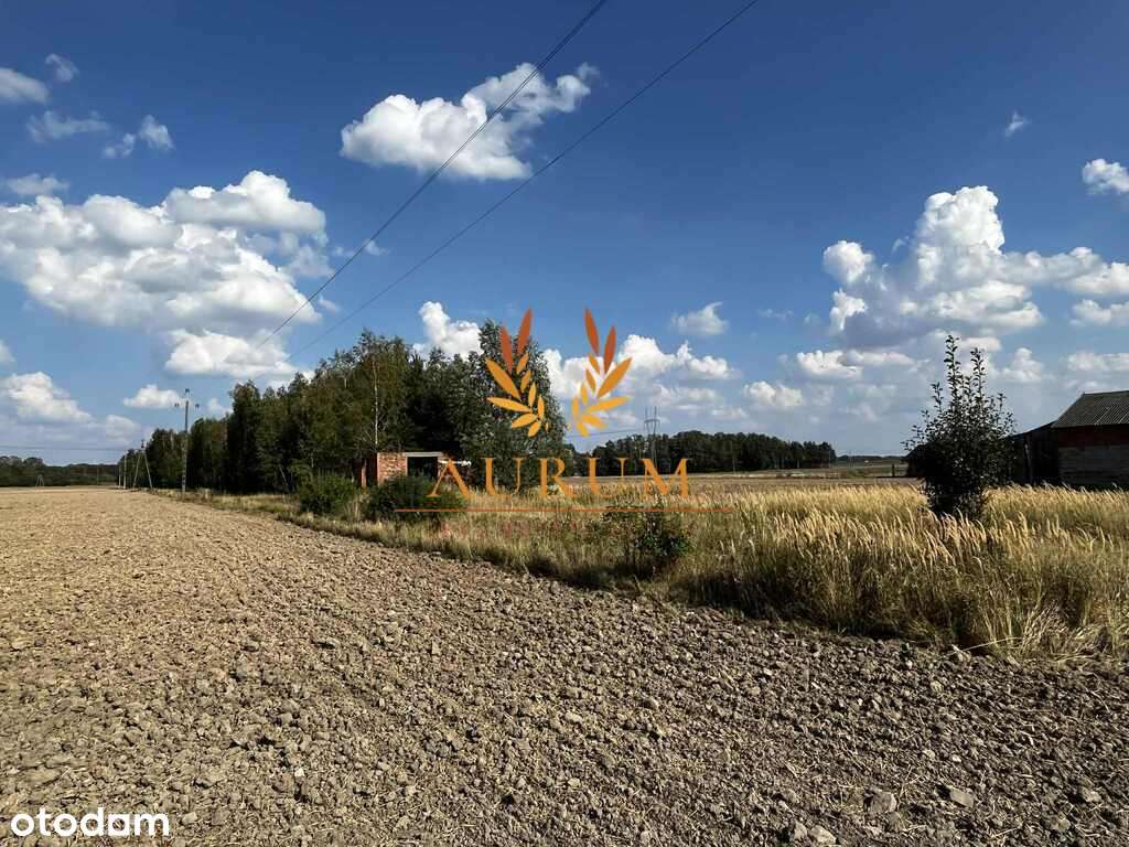 Działka rolno-budowlana z MPZP Karlin, Moszczenica - Pełny obrazek: 4/5