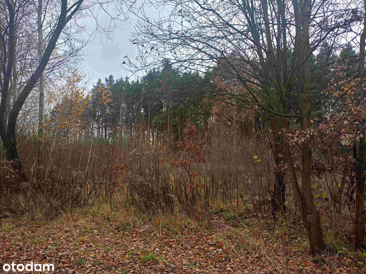 Działka usługowo-budowlana z przeznaczeniem na parking lub budowę domu-8
