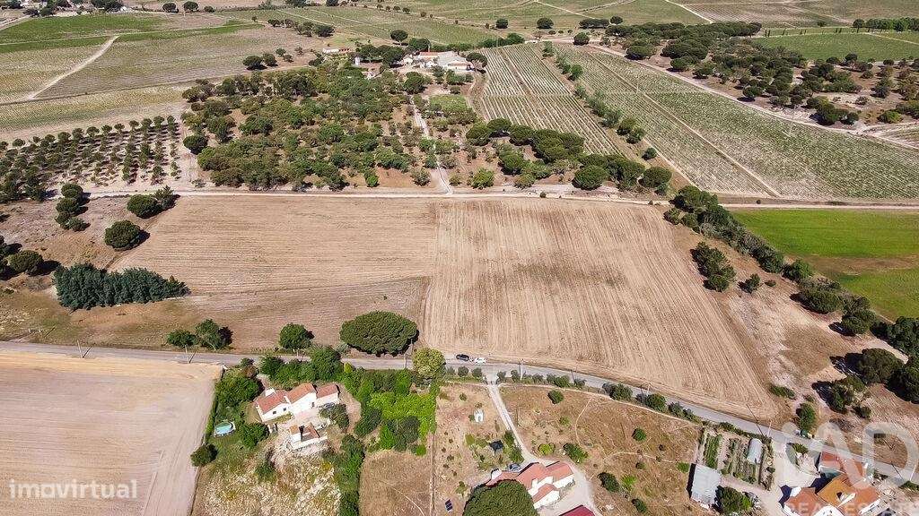 Terreno em Pegões de 31738,00 m2 - Grande imagem: 2/18