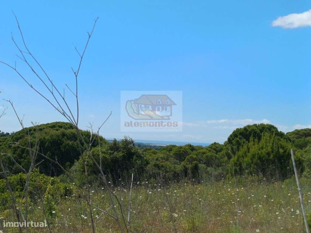 Monte Alentejano - Sul de Melides e 35 minutos da Comporta-27