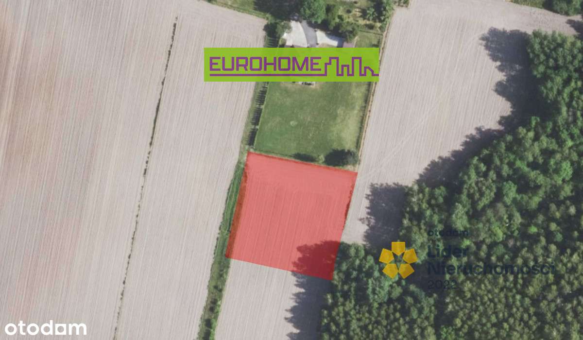 Działka z Warunkami Zabudowy | 30 ar | Podborze | - Pełny obrazek: 2/8