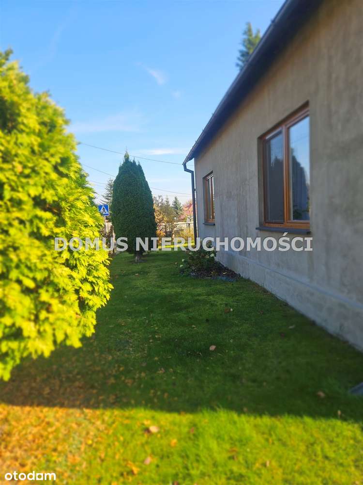 Klimatyczne siedlisko-14