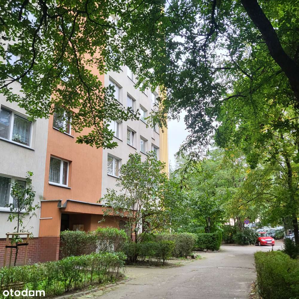 Karłowice - Polanka, I piętro, możliwe 3 pokoje-0