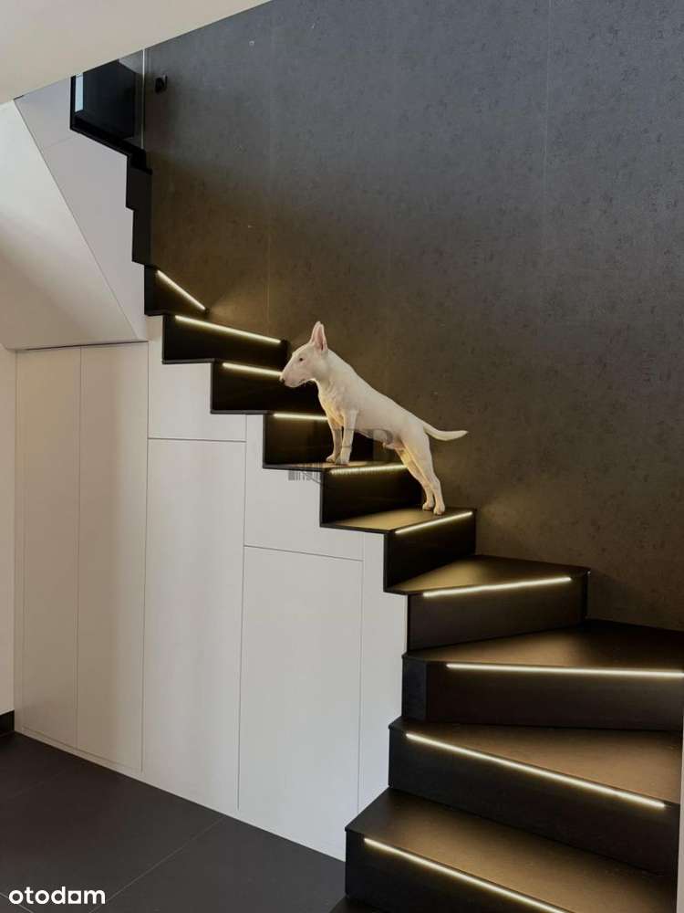 Piękny apartament dla wymagających na Botaniku-7