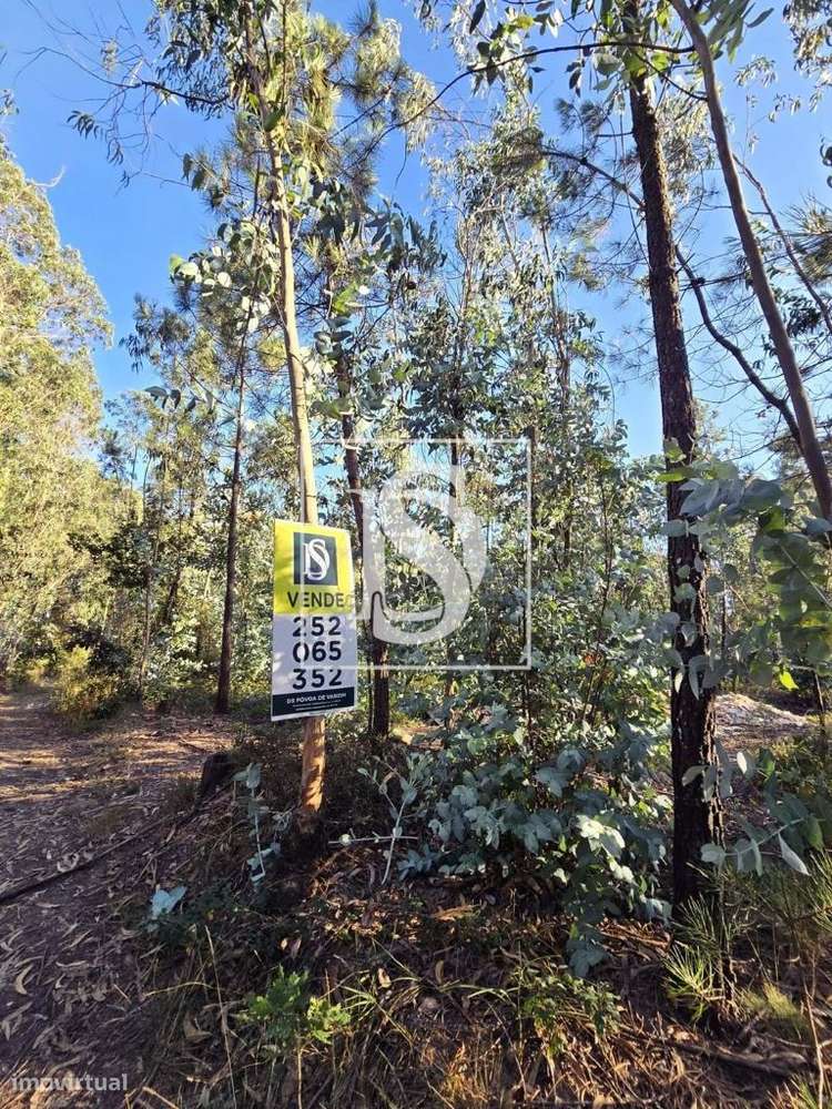 Terreno rústico – Laúndos – Póvoa de Varzim - Grande imagem: 3/11