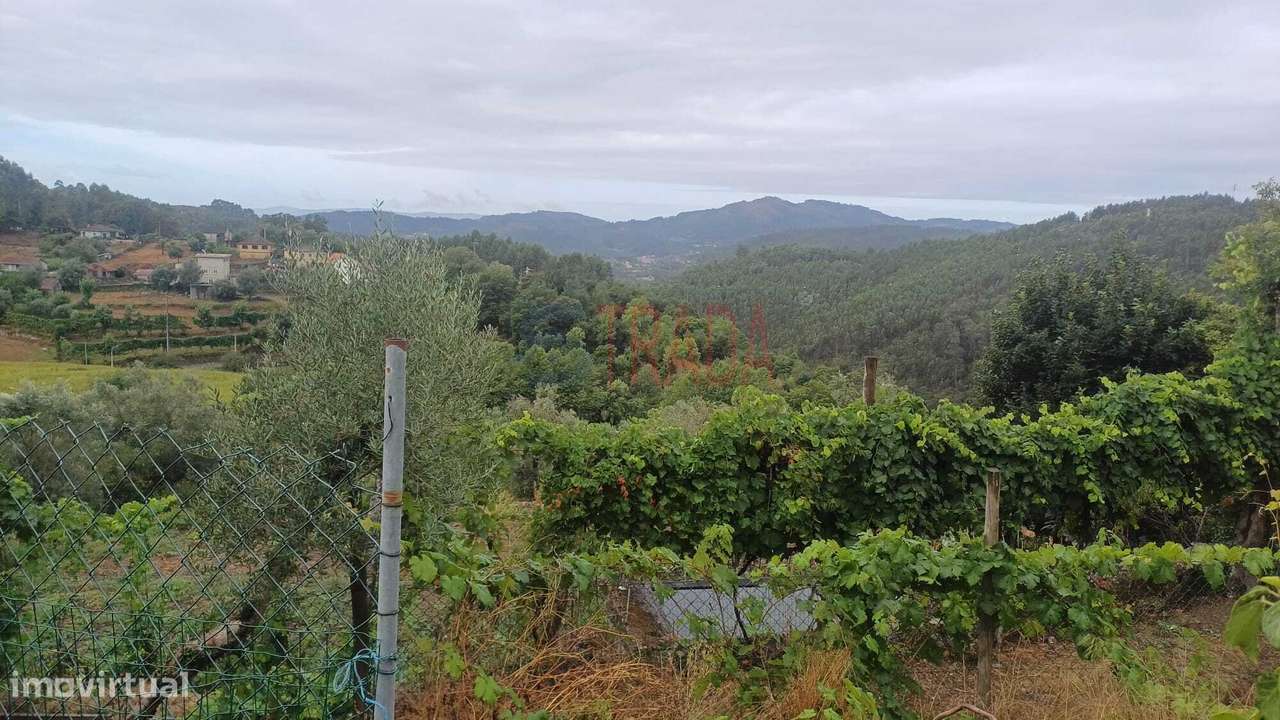 Moradia T2 com adega, horta e ruína em pedra para restauro – Vieira...-6