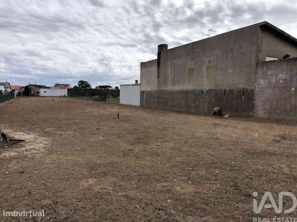 Terreno para construção em Monte Real e Carvide de 2160,00 m2 - Grande imagem: 4/17