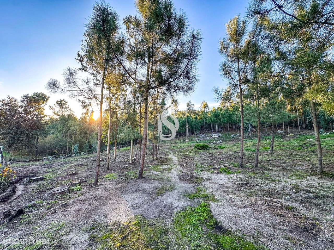 Terreno para construção em Vilar do Monte, Barcelos - Grande imagem: 5/13