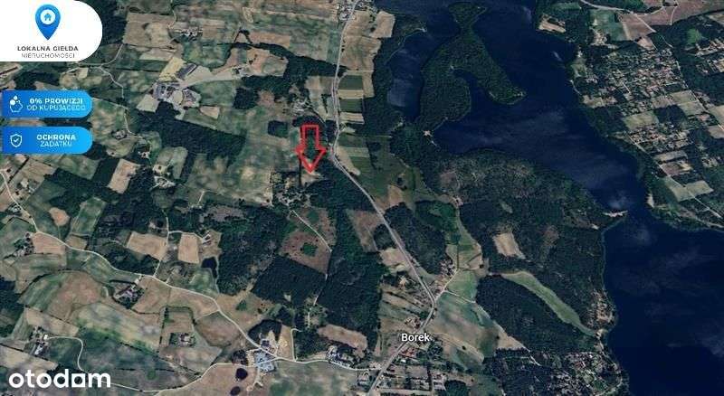 Otoczeniu lasu, Jezioro Gowidlińskie 500m-9