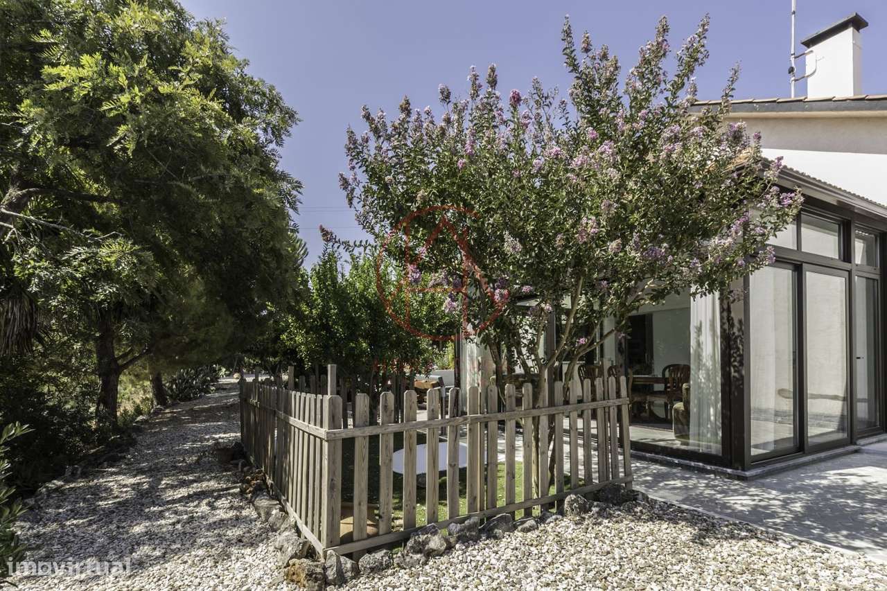 Quinta com moradia T4+2 inserida em lote com 8.160 m2 em Chancelaria ? - Grande imagem: 5/46