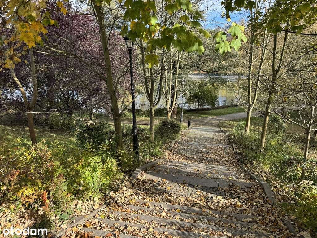 3 pokoje przy Parku Zdrojowym, po remoncie, parter-9