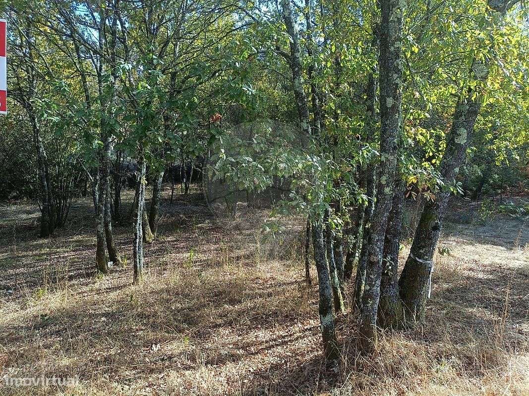 Terreno  para venda - Grande imagem: 4/4