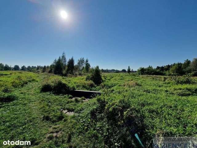 Działka, 10 381 m², Aleksandrówka - Pełny obrazek: 4/6