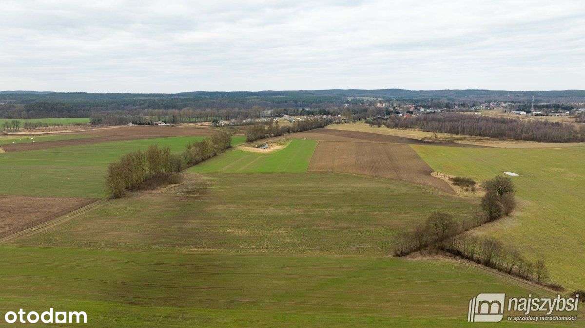 Kołczewo - ogromna działka rolna w dobrej cenie - Pełny obrazek: 4/10
