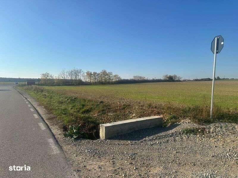 Teren extravilan Pausa - Imagine principală: 4/5