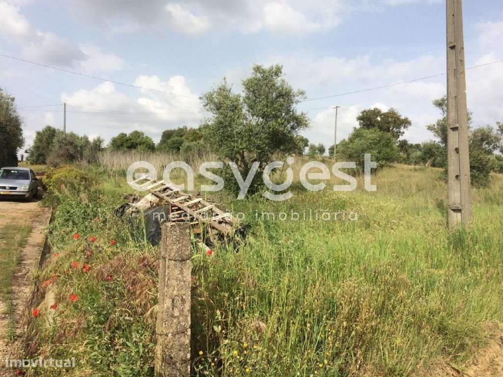 Terreno Rústico com cultura arvense a 30 minutos de Lisboa - Grande imagem: 4/8