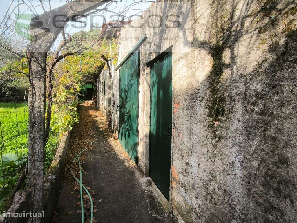Moradia com quintal e vários anexos - Casal de Águas de Verão - Grande imagem: 5/17